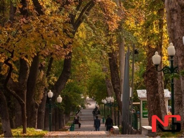 Эртага ҳаво қандай бўлади?