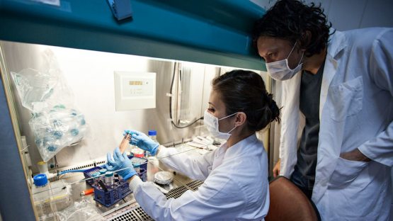 ЖССТ раҳбари коронавирусга қарши вакцина ишлаб чиқиш жараёни жадаллашганини маълум қилди