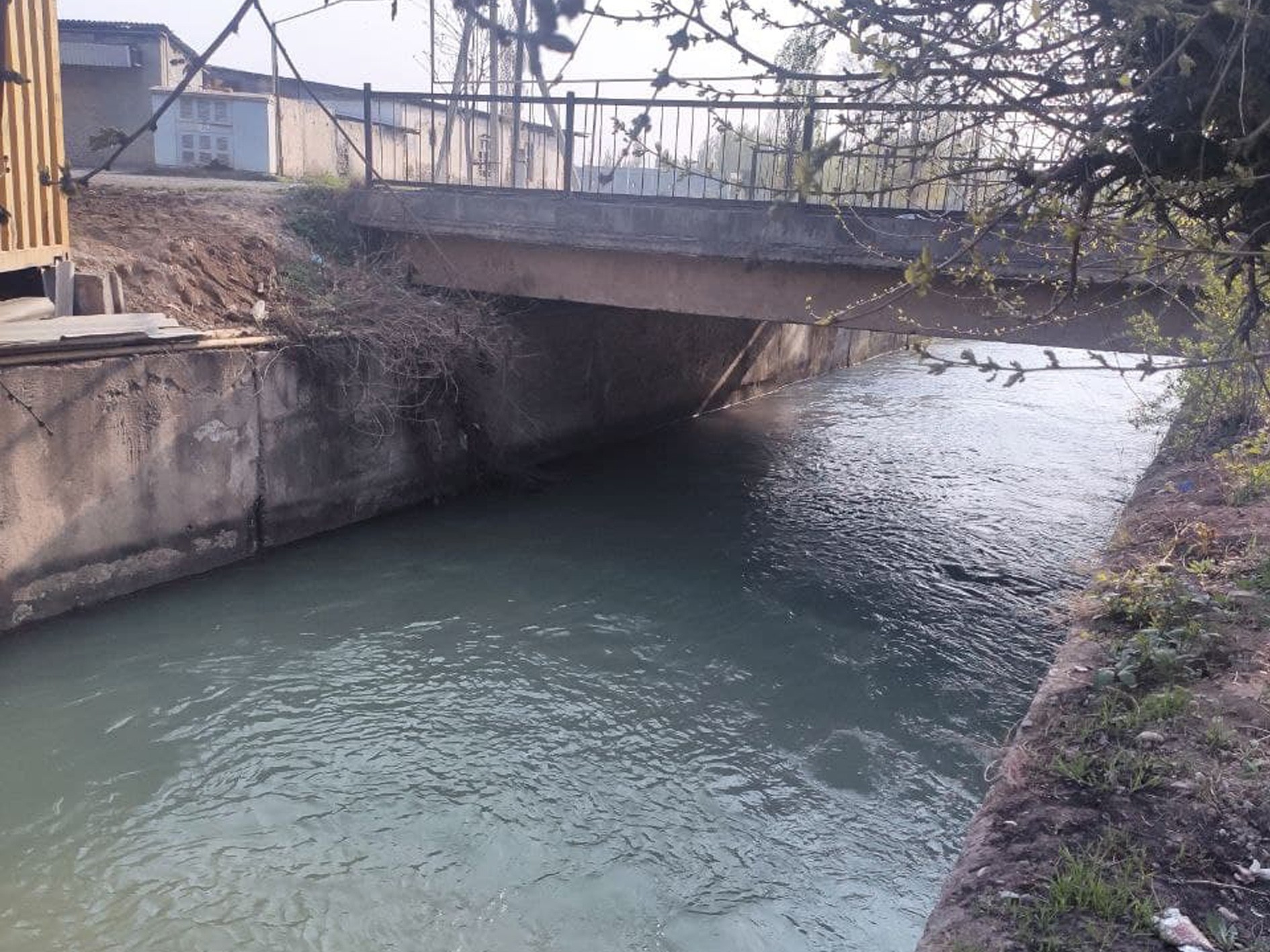 5-синф қизни келинойиси нега «Катта Наманган» каналига итариб юборгани маълум бўлди