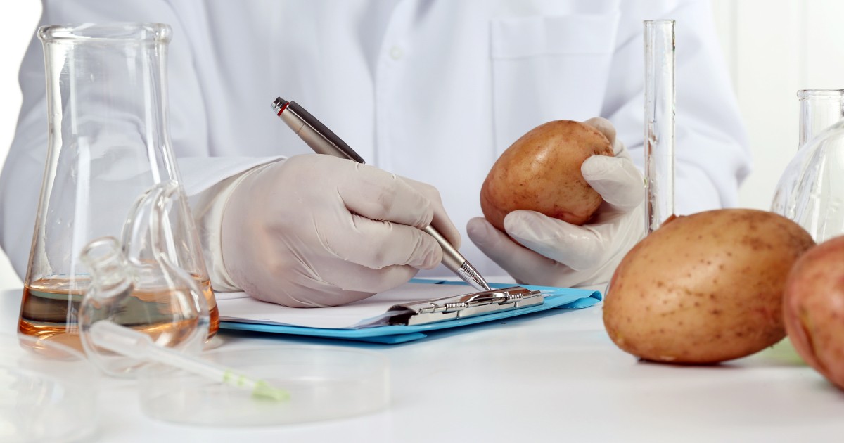 Эрон ва Покистондан олиб келинган картошкада хавфли зараркунандалар аниқланди