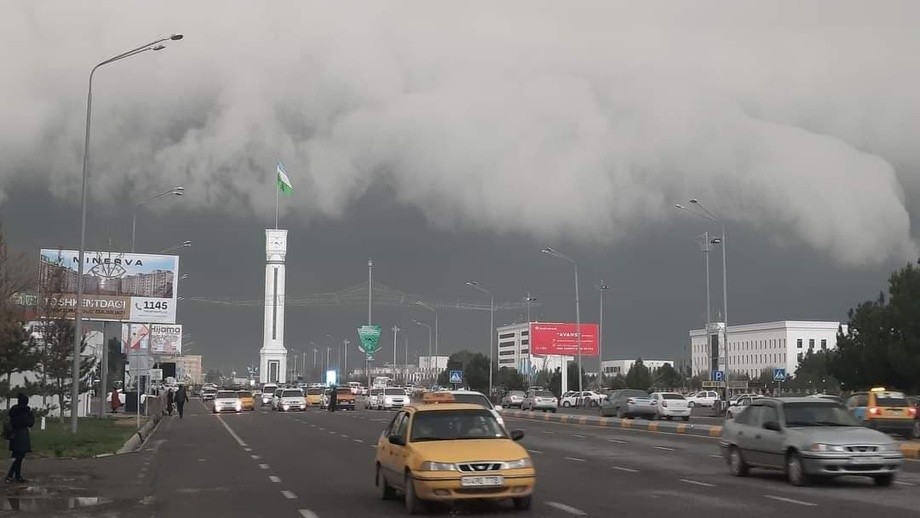 «Қўрқинчли ва ғайритабиий»: Қаршида камёб ҳодиса кузатилди (фото)