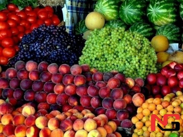Энди ўзбекистонликлар Мисрга мева экспорт қилиши мумкин
