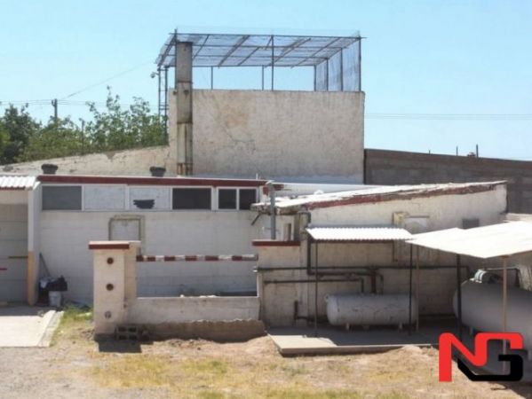 Жасадлар билан қилинган фирибгарлик фош бўлди