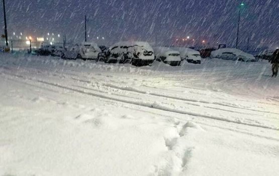 Дам олиш кунлари Ўзбекистон бўйлаб қор ёғиши кутилмоқда