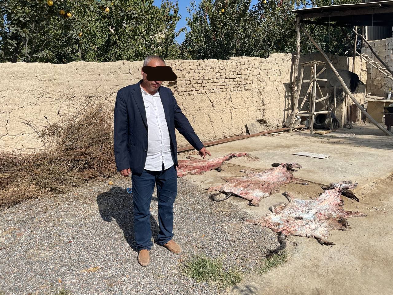 Наманганда эшак гўшти сотилгани айтилмоқда. ИИБ изоҳ берди