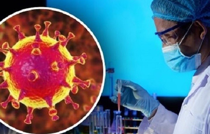 Ниҳоят, коронавируснинг «нозик жойи» аниқланди