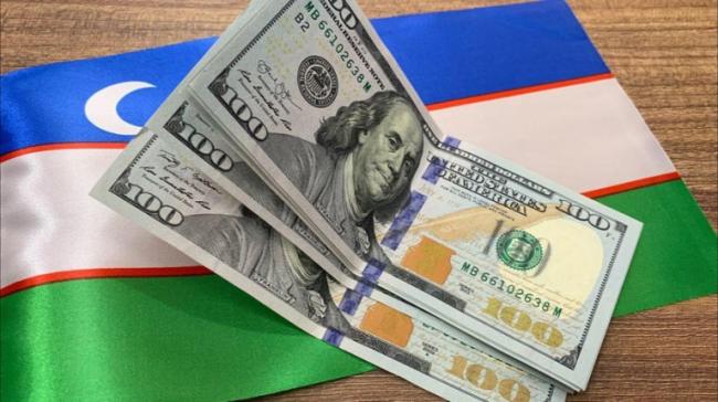 Ўзбекистонга берилган қарзлар қаерга сарфланмоқда?