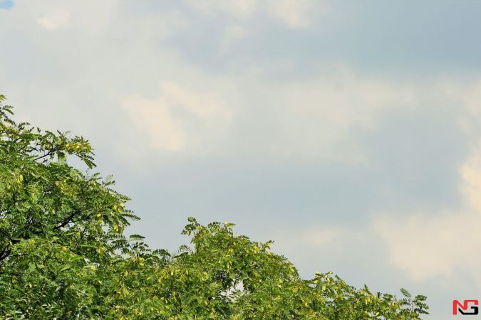 Ўзбекистонда дам олиш кунлари ҳаво ҳарорати бироз пасаяди