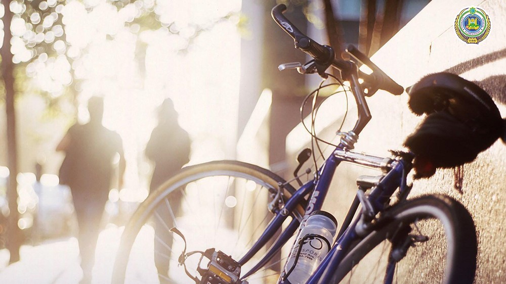 Велосипедда сайр қилиш учун баҳона топилади: бизни алдамоқчи бўлиб, ўзингизни алдамоқдасиз