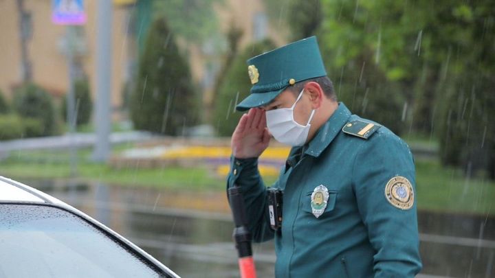 Ўзбекистонда «права»сиз машина ҳайдашга ва рулда телефондан фойдаланишга рухсат берилиши мумкин