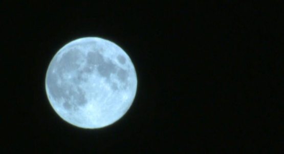 Трамп имзо чекди: Ой энди АҚШники