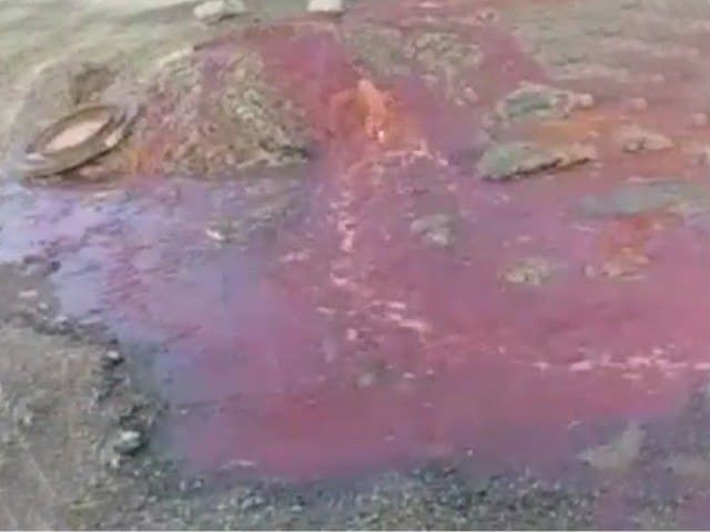 Наманганда канализациядан қон оқаётгани айтилмоқда