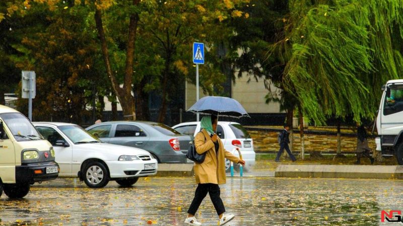 Ўзбекистонда янги ҳафта ёмғирли бўлиши кутилмоқда