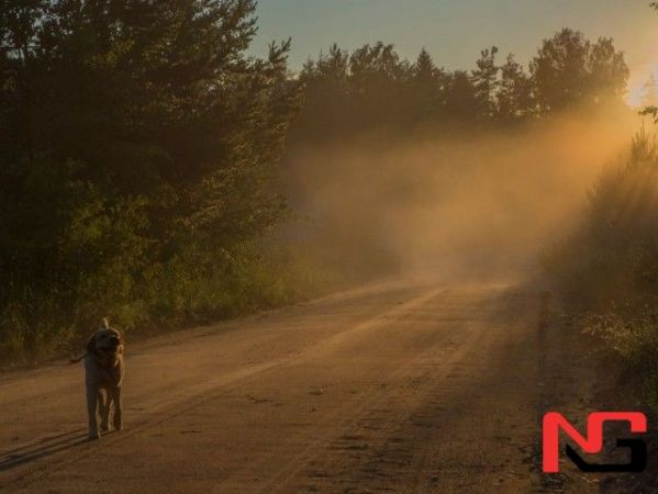 Ўзгидромет янги ҳафтага оид шошилинч огоҳлантириш билан чиқди