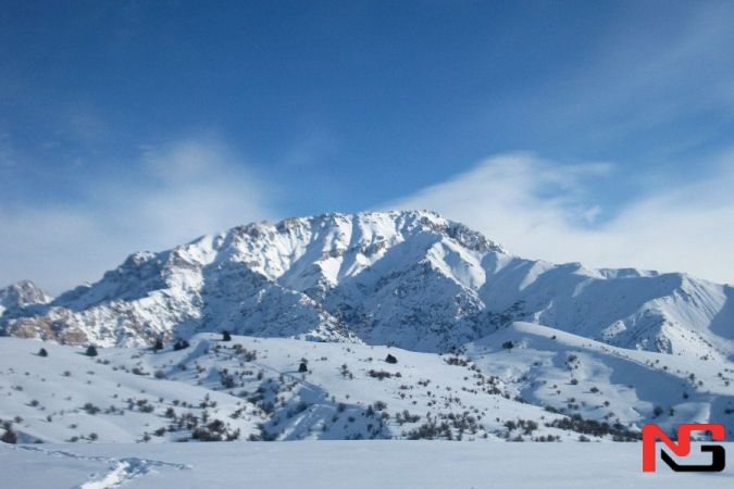 Наманган ва Тошкентда қор ёғиши, ҳаво ҳарорати эса -8 даража совиши кутилмоқда