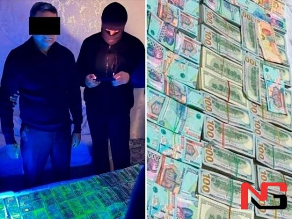 Бухорода тадбиркор 600 минг доллар пора билан қўлга тушди