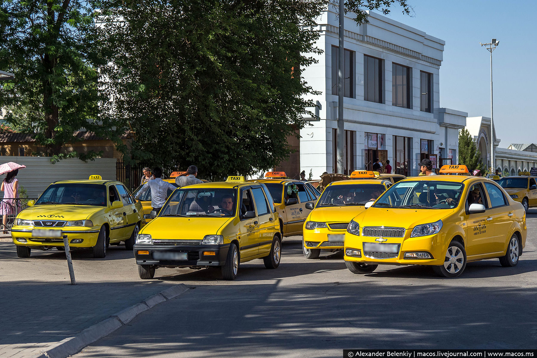Ўзбекистонда йўналишли таксилар фаолиятига рухсат берилди