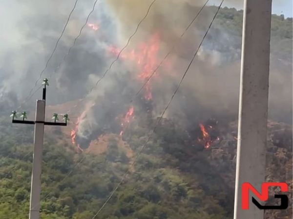 Бўстонлиқда 2 гектар майдон ёнмоқда. Ўтни ўчиришга вертолёт жалб қилинган