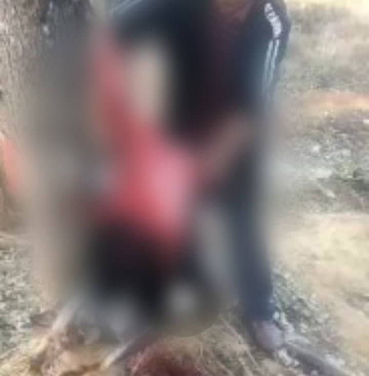 Ўзбекистонда ҳайвонларга нисбатан яна бир шафқатсизлик аниқланди