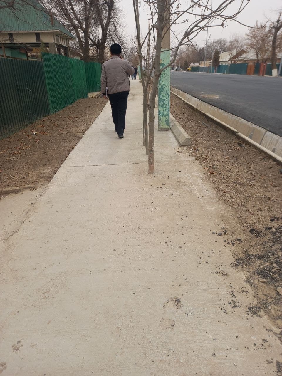 Жиззахда йўл бўйидаги 75 туп дарахтнинг атрофи бетонлаб ташланди