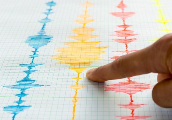 Наманганнинг Уйчи туманида юз берган зилзила кучи Андижон ва Фарғонада ҳам сезилди