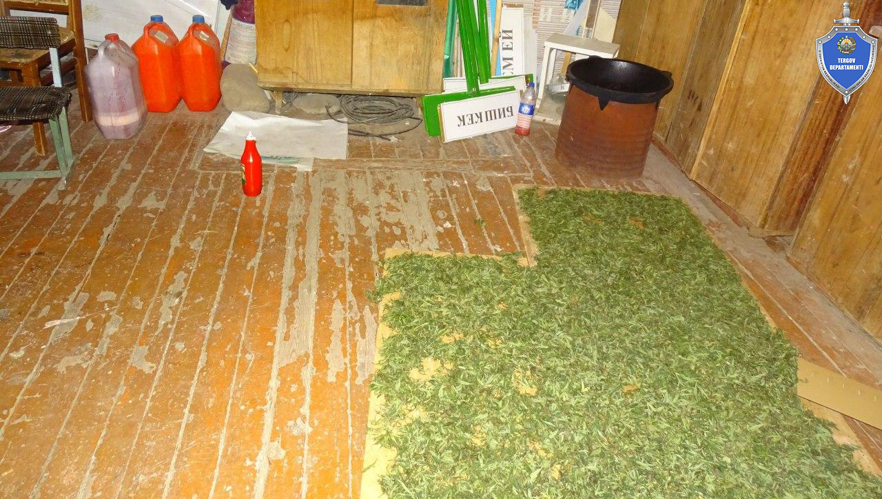 Тошкентда мактаб биносида марихуана қовураётган қоровул ушланди