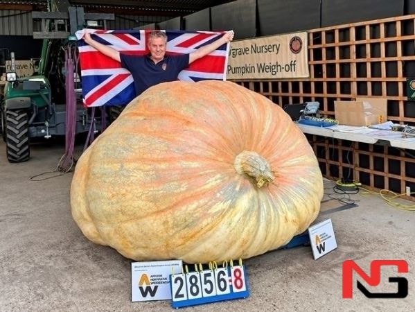 Британиялик эркак 1,3 тонналик қовоқ етиштириб, рекорд ўрнатди