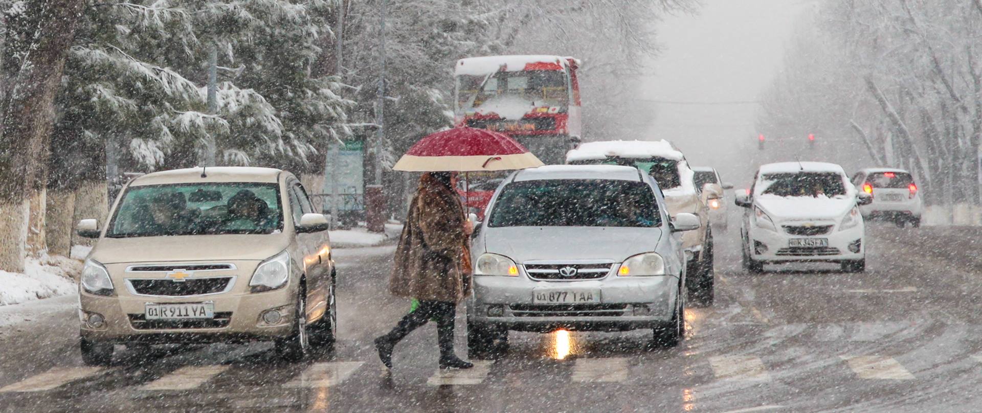 Ўзбекистонга даҳшатли совуқ яқинлашмоқда