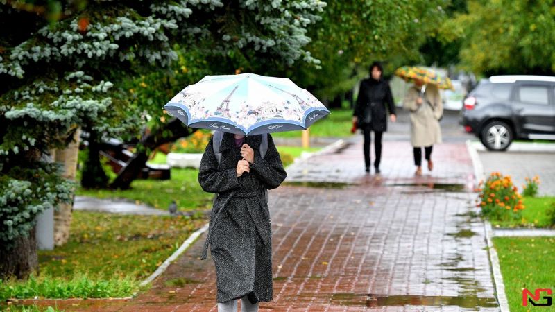 Эртага Ўзбекистоннинг кўплаб жойларида ёмғир ёғади