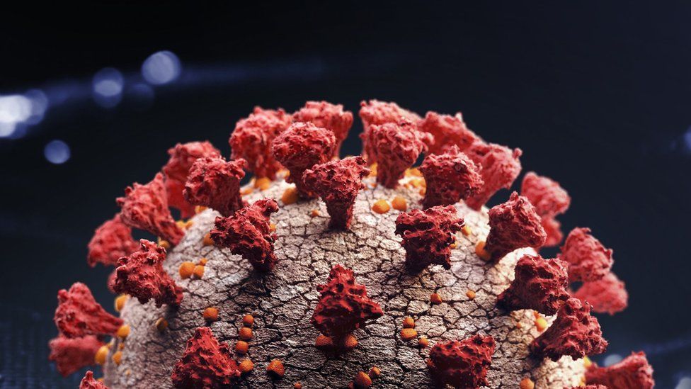 Янги штамм нимаси билан хавфли ва дунё бўйлаб қанчалик тез тарқалади?