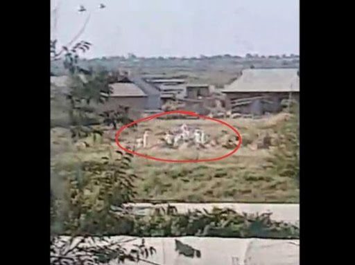 "Индамай олиб бориб, кўмиб келиш бошландими?" Сирдарёдаги шубҳали дафн маросимига аниқлик киритилди (видео)