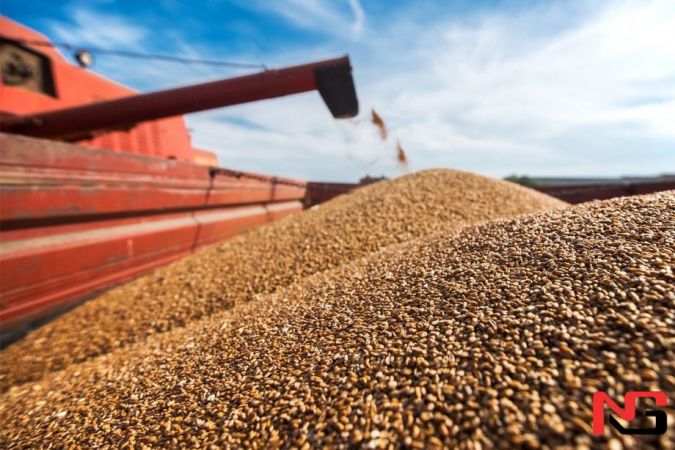 Украина Хорватия орқали дон экспорт қила бошлади