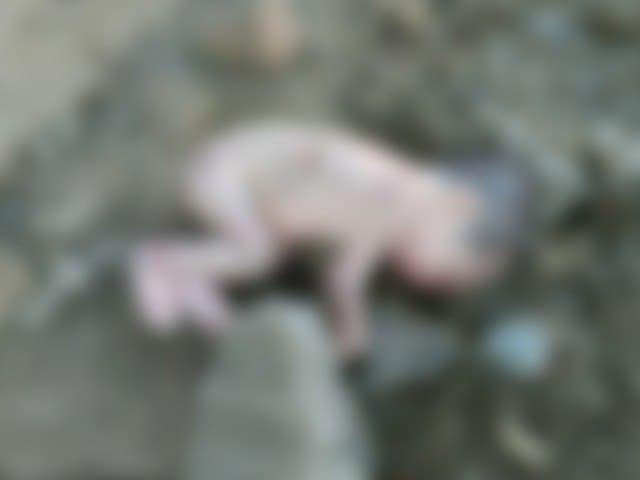 17 ёшли қиз янги туғилган чақалоғини қурилиши тугалланмаган бино орқасига ташлаб кетди