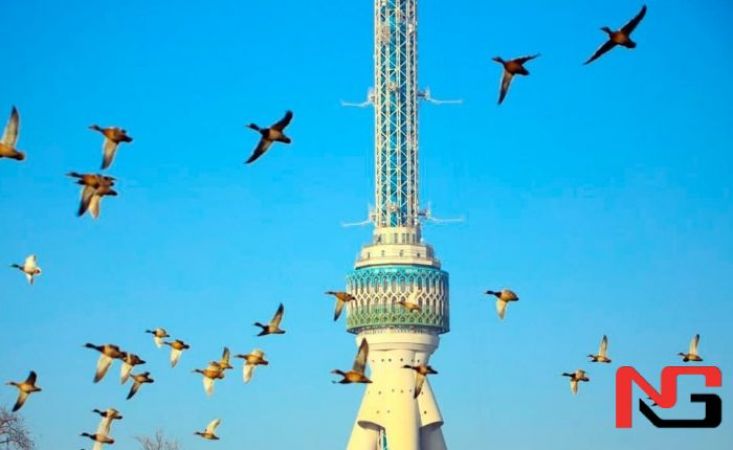 7-9 февраль кунлари юртимизда ҳаво яна пастлайди