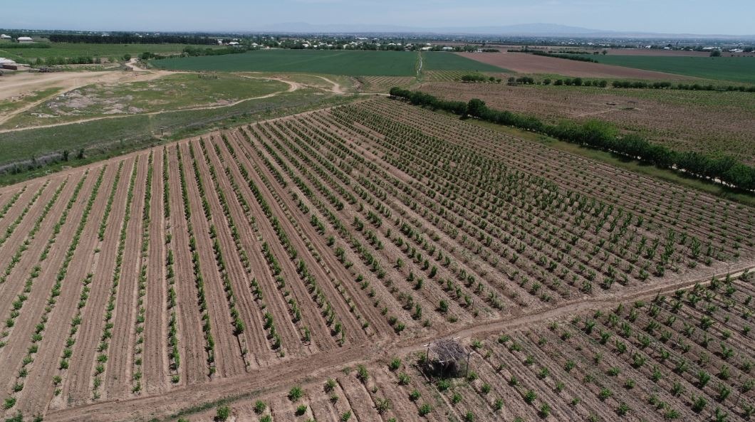 ЕР МАЙДОНЛАРИДАН ОҚИЛОНА ФОЙДАЛАНИШ ЗАРУР