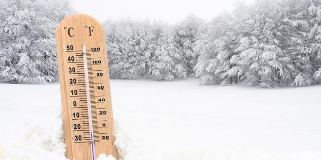 Эртага айрим ҳудудларда ҳарорат 20 даражагача совуқ бўлиши мумкин