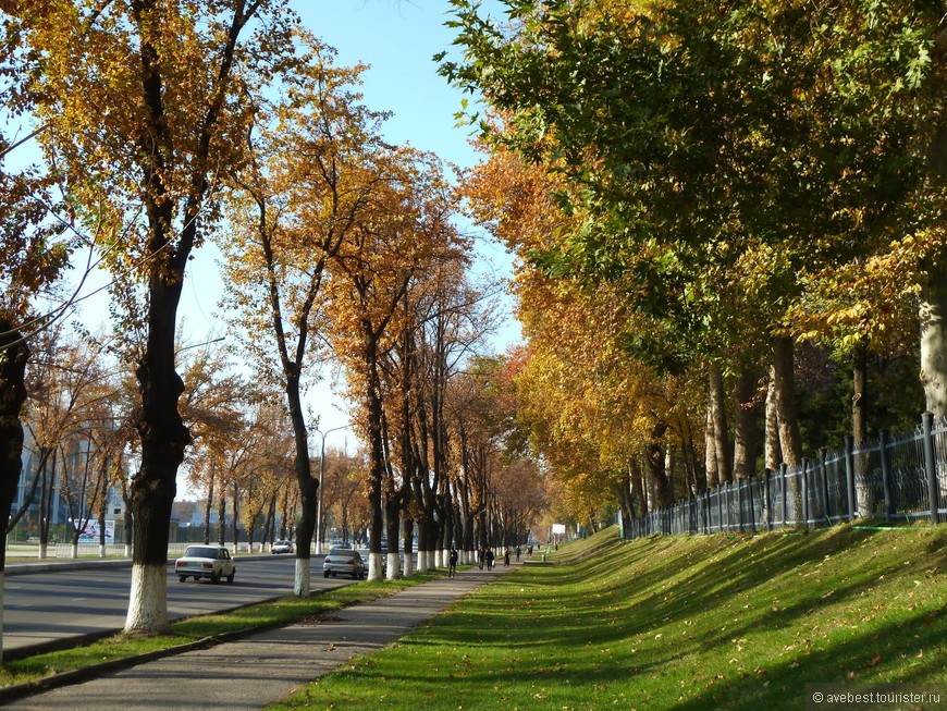 Бугун қандай об-ҳаво кузатилиши маълум бўлди