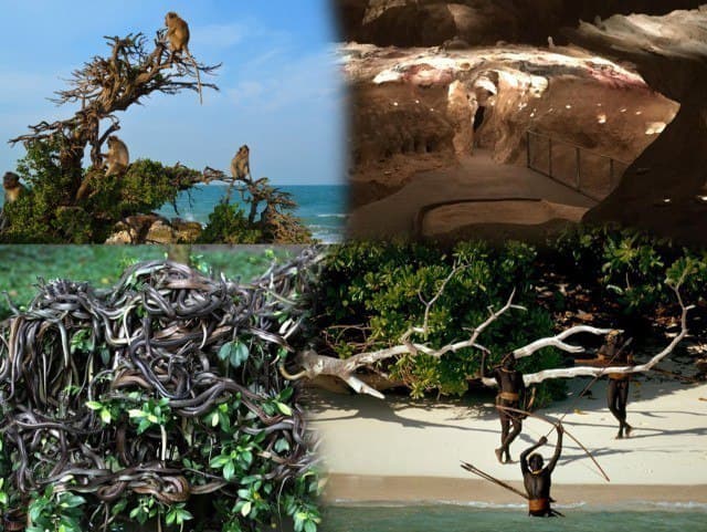 Катта пул эвазига ҳам бориб бўлмайдиган 5 та ҳудуд ҳақида биласизми?