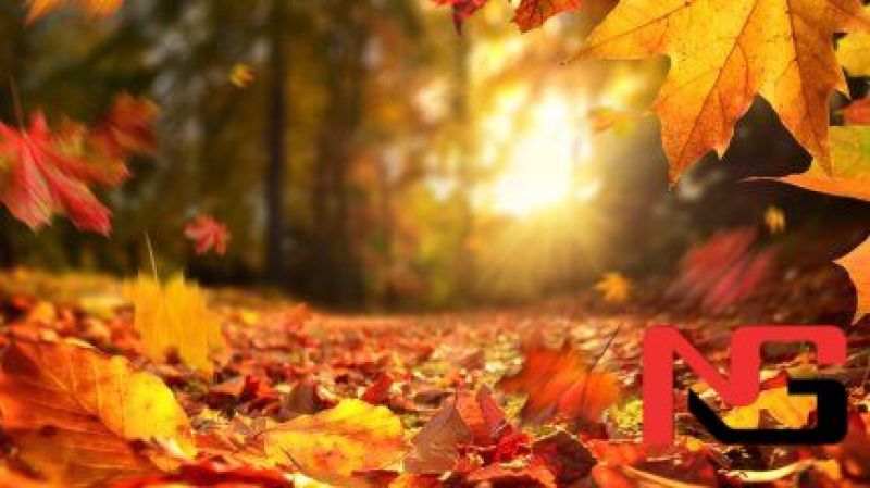 Илиқ об-ҳаво сақланиб туради — «Ўзгидромет»