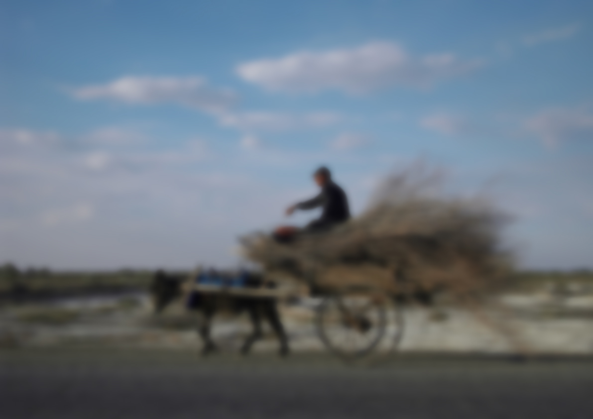 Косонсойда эшак арава сабабли 12 ёшли бола вафот этди.