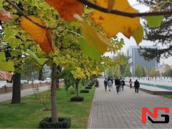 Эртага қандай об-ҳаво бўлади?