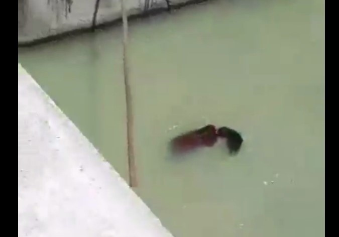 Намангандаги каналда аёл кишининг жасади оқиб кетди: прокуратура текширув бошлади (ВИДЕО +18)