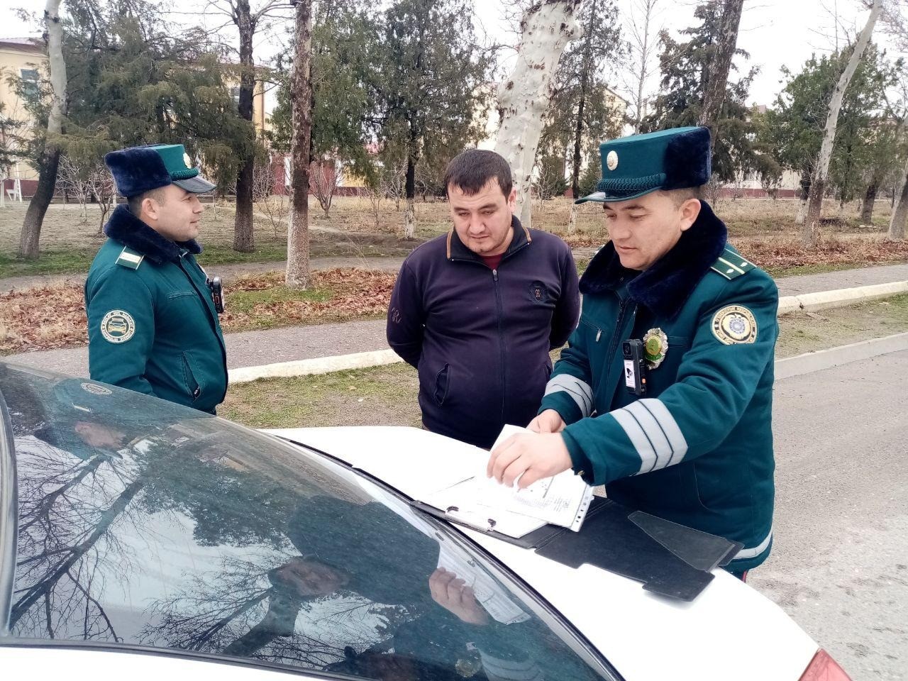 Жарима миқдори тушса, ҳуқуқбузарликлар ортади