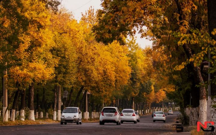 Юртимизда дам олиш кунлари қандай об-ҳаво бўлади?