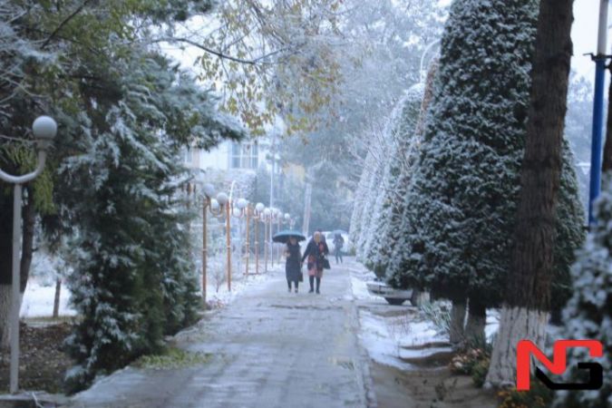 Эртага қаерларда ёмғир, қор ёғиши айтилди