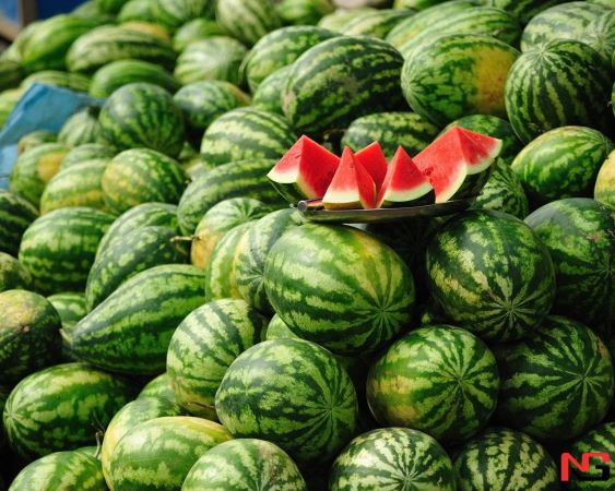 Ўзбекистонда тарвуз нархи рекорд даражада пастлади