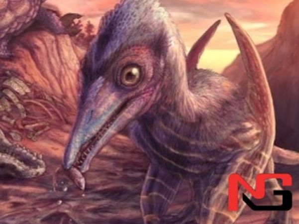 200 млн йиллик жағ: олимлар янги птерозавр турини кашф этди