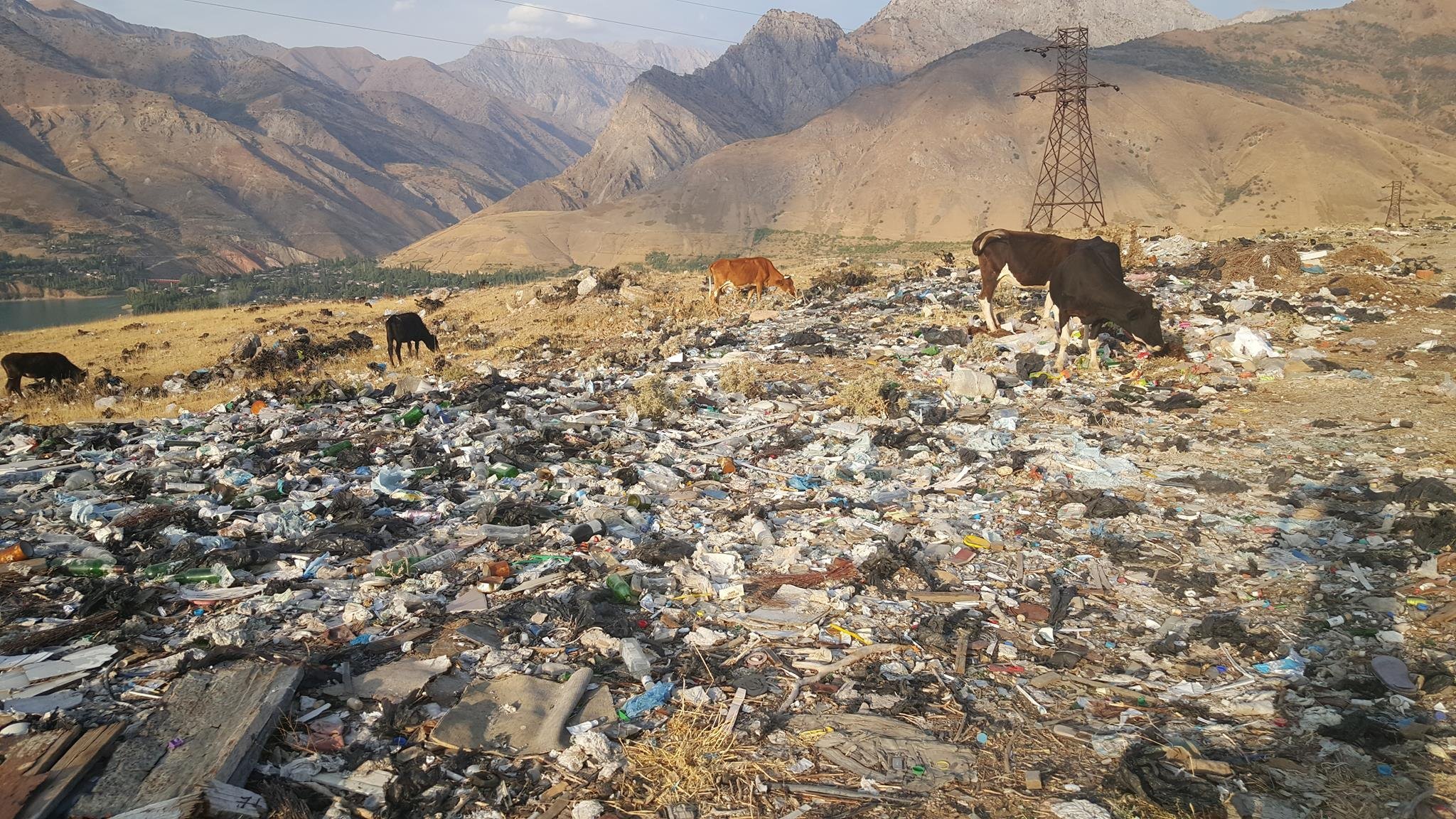 Ўзбекистонда экологик ҳуқуқбузарликлар ҳақида фото ва видео юборганларга пул мукофоти берилади