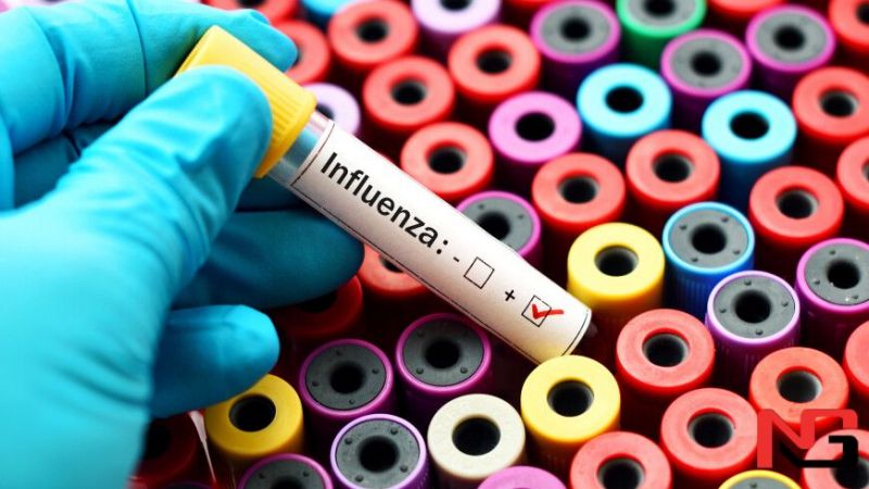 ЖССТ парранда гриппининг одамларга юқиш хавфи юқорилигидан огоҳлантирди